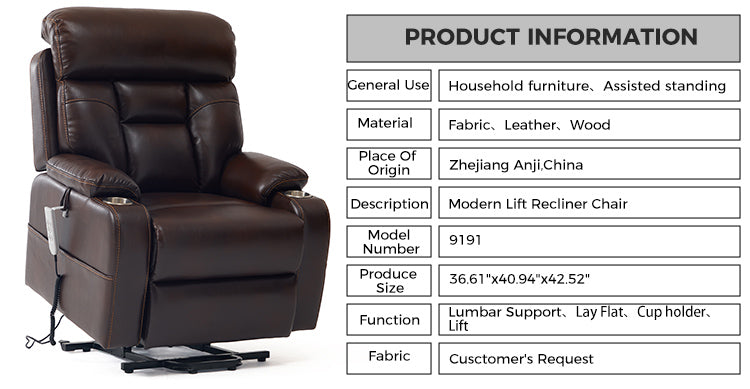 Customizable Options Dual Motor Electric Lift Chair Recliner for Home Theater