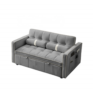 Modern Luxury 55.5 Inch Pull-Out Sleep Sofa Bed 2-Seater Loveseat Couch with Side Pockets Velvet Material Extendable Feature