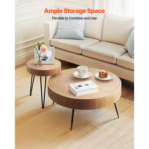 2-Piece Round Coffee Table and End Table Set 31.3 in for Living Room