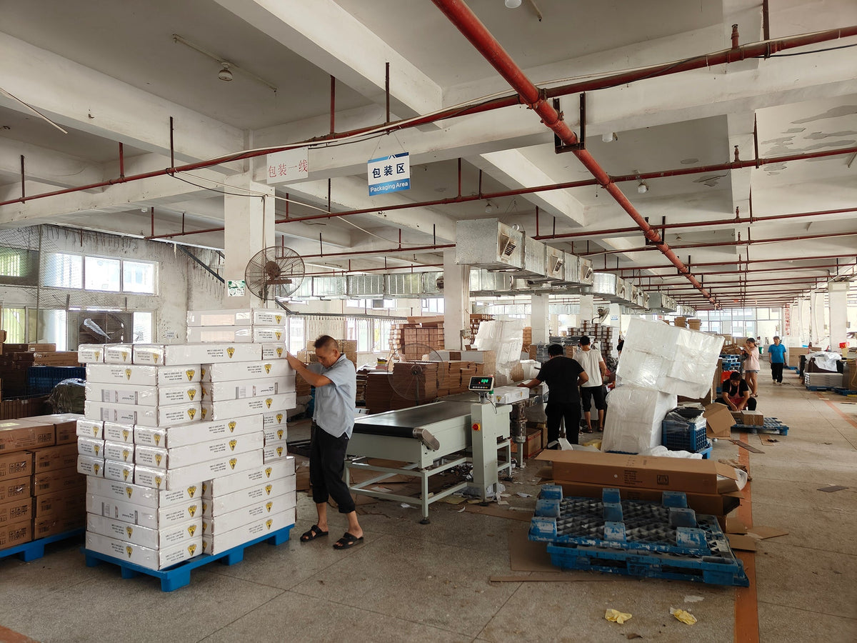 Free Shipping US Overseas Warehouse Shipment Large Size Home Chair
